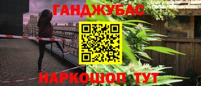 прущие грибы Ставрополь