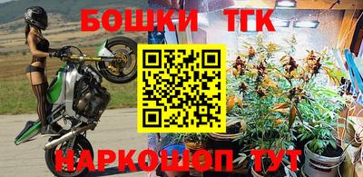 молекула духа Гусев